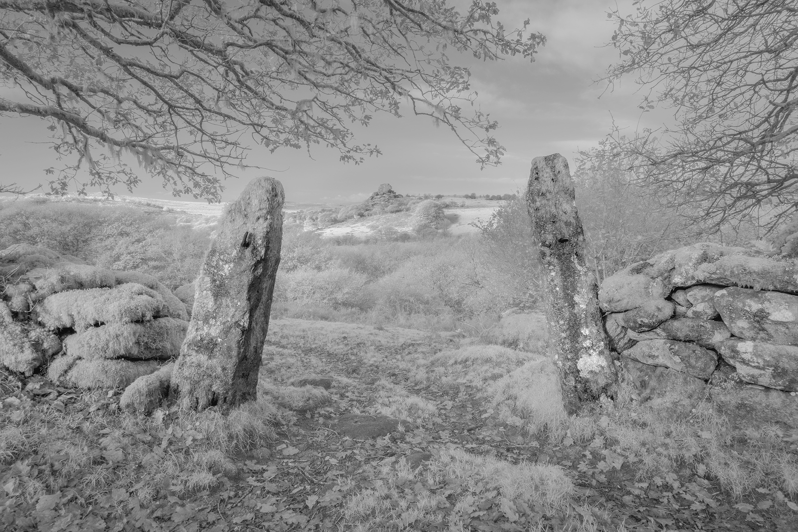 GATEWAY TO VIXEN TOR by Martin Till